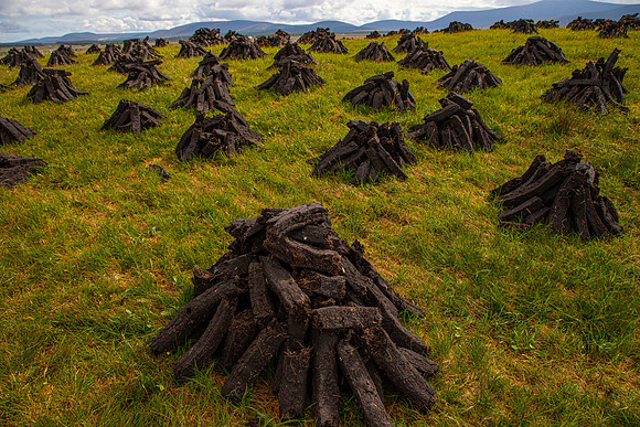 Peat Bog Ireland KAC6046