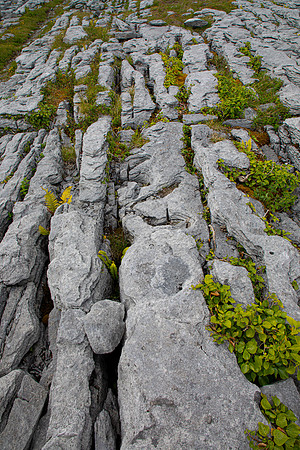 The Burrens Ireland KAC0215