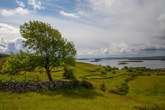 Green fields rock walls KAC5938