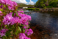 Aasleagh Falls Ireland KAC6779