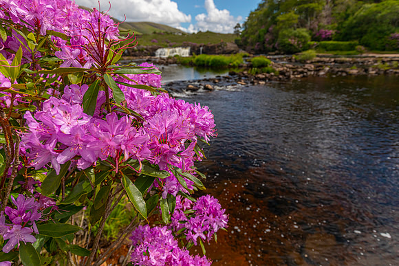 Aasleagh Falls Ireland KAC6779