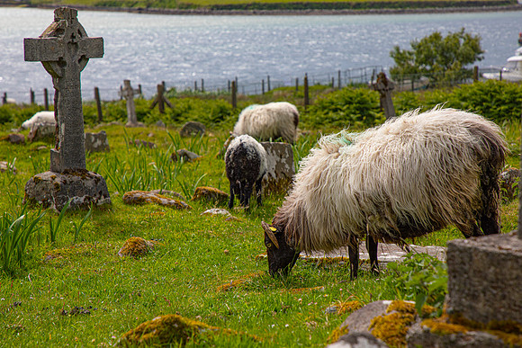 Kildownet Cemetery Ireland KAC6821