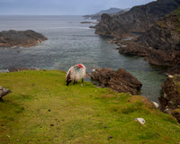 Achill Island Ireland KAC5297
