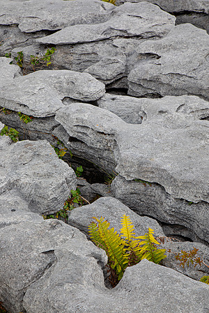 The Burrens Ireland KAC0221