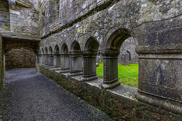 Ross Errilly Friary KAC0840