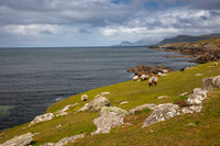 Achill Island Ireland KAC5311