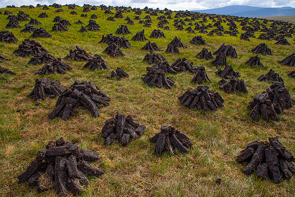 Peat Bog Ireland KAC6048