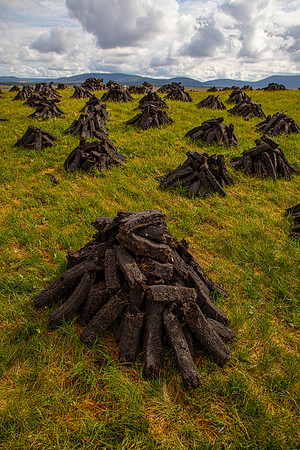 Peat Bog Ireland KAC6045