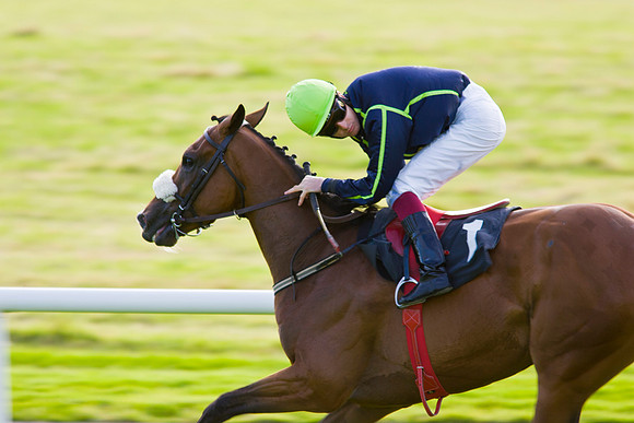 Ballinrobe Horse Races KAC807230_1