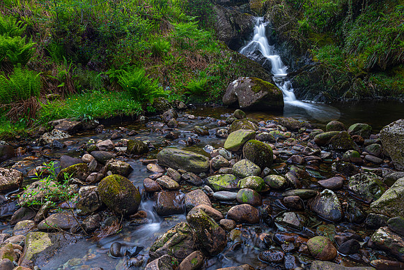 Sheffery Woods Ireland KAC6752