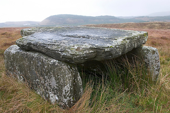 Megalithic stone tomb Kilkee Ireland KAC10053