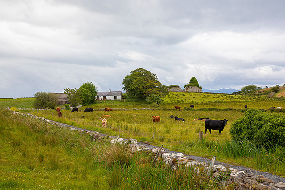 Cottage and Ruins Ireland KAC5661