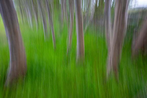 Motion Blur KAC5358