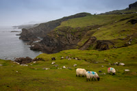 Achill Island Ireland KAC5292