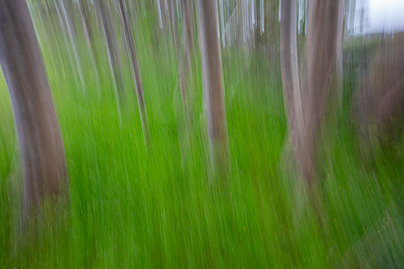 Motion Blur KAC5357