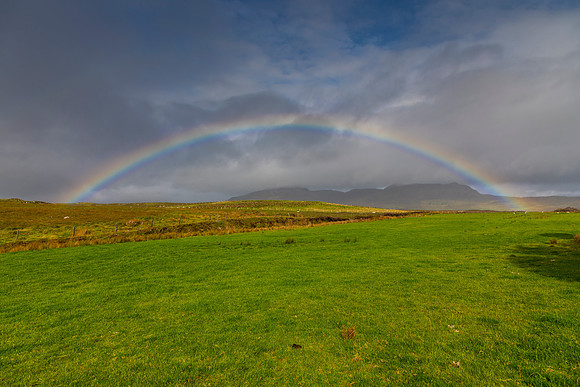 Rainbow Ireland KAC2675