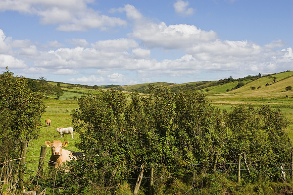 Ireland countryside KAC807001