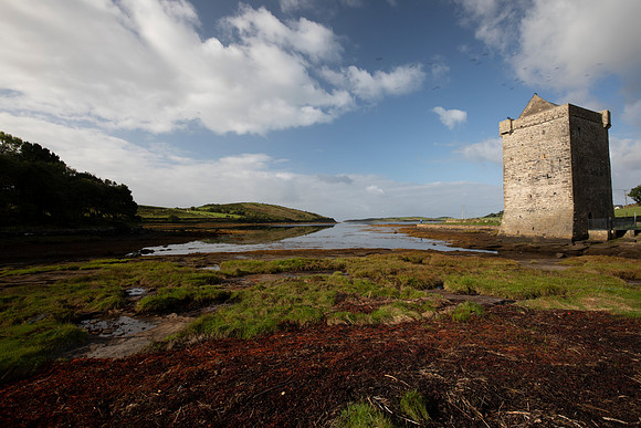 Carrickahowley Castle KAC2736