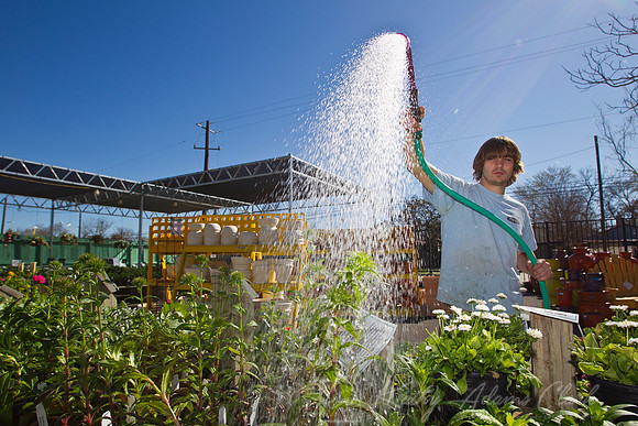 Buchanan Nursery KAC7165