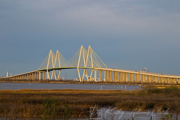 Fred Hartman Bridge KAC9427