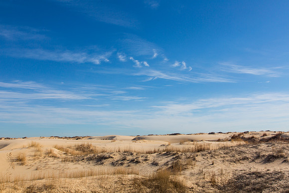2 Monahans Sandhills State Park KAC5352