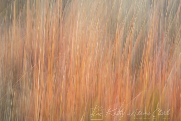 Patterns and shapes KAC0530