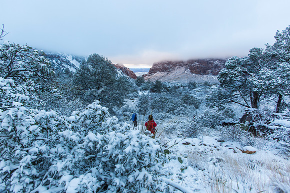Big Bend National Park Snow KAC0652