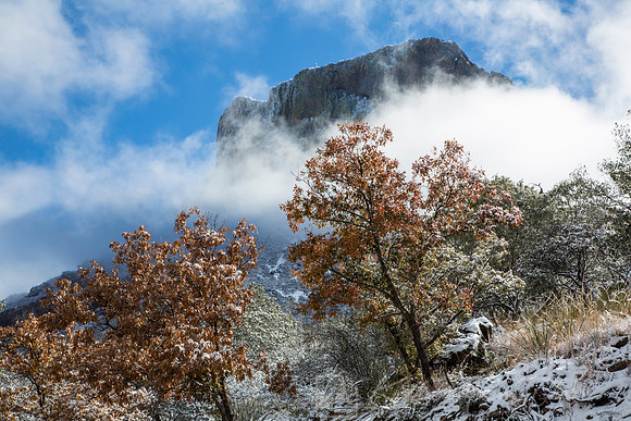 Big Bend National Park Snow KAC0083