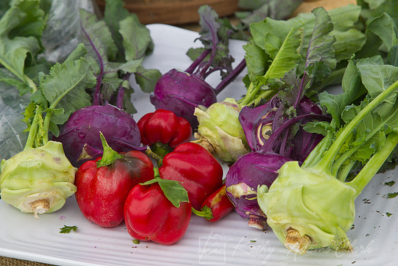 Farmers Market KAC0565