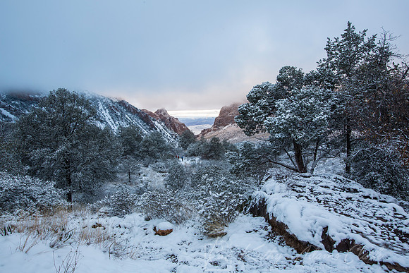 Big Bend National Park Snow KAC0662