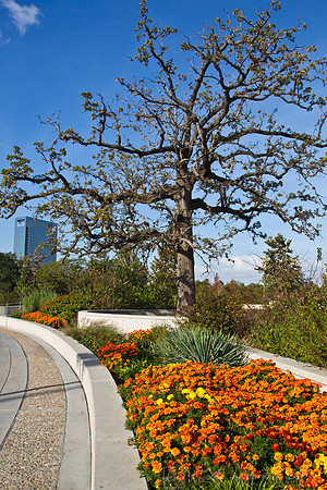 Hermann Park Houston KAC9433
