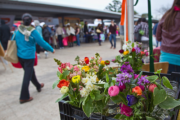 Farmers Market KAC0588