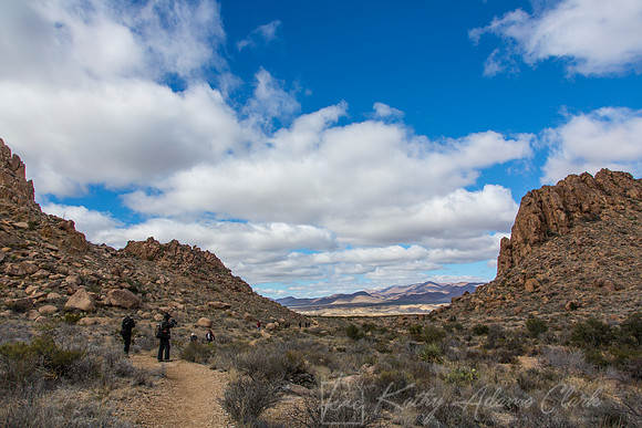 Grapevine Hills Big Bend KAC0103