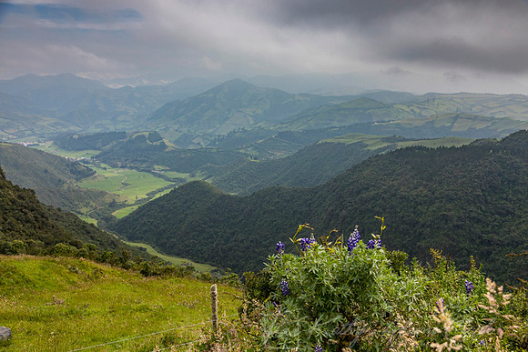 Ecuador Western Slope KAC0663