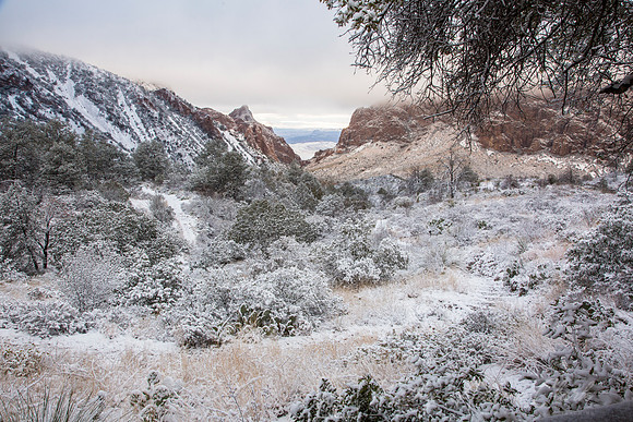 Big Bend National Park Snow KAC0670