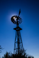 Windmill Starburst KAC9238