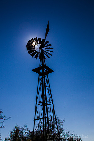 Windmill Starburst KAC9238