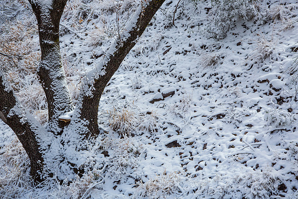 Snow patterns KAC0057