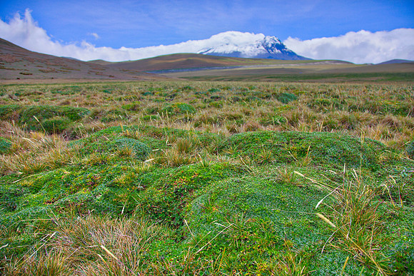 Antisana Volcano KAC0619_HDR_edit
