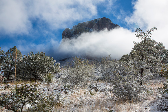 Big Bend National Park Snow KAC0086