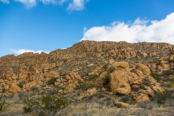 Grapevine Hills Big Bend KAC0106