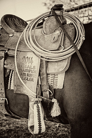Horse Tack KAC7833tt