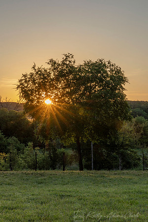 Sunrise starburst KAC1323