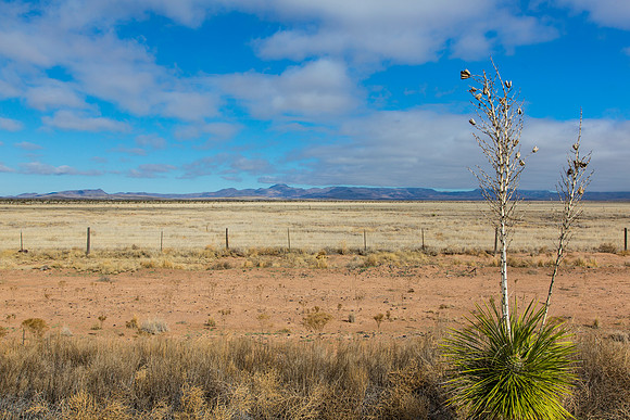 1 Texas Landscape KAC5226