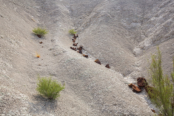 Tuff Canyon Big Bend KAC7315