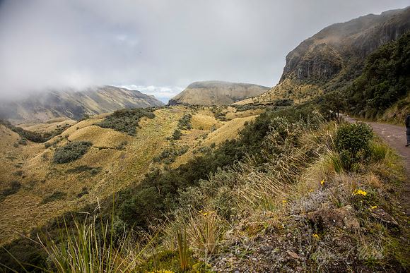 Papallacta Pass KAC0112