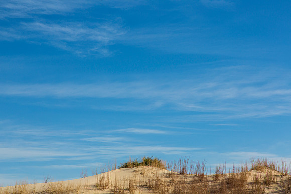2 Monahans Sandhills State Park KAC5366