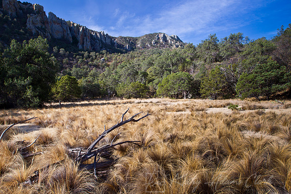 Boulder Meadow Big Bend KAC5368