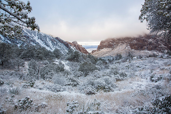 Big Bend National Park Snow KAC0667