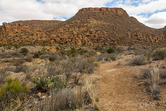 Grapevine Hills Big Bend KAC0102